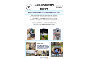 국제청소년성취포상제 활동 안내.png